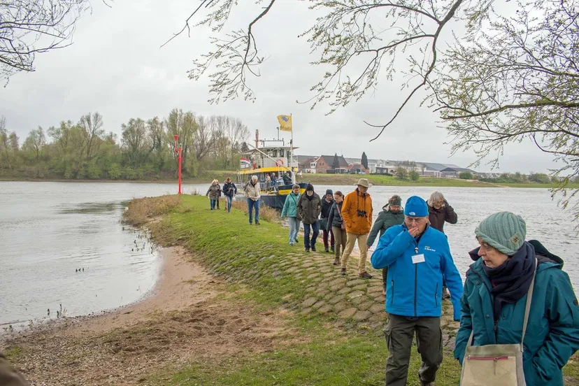 blauwe bever jufferswaard2