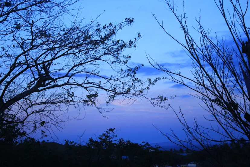 blue maliz ong cc0 pdp