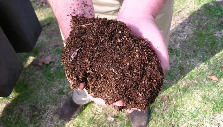 compost normanack wikimedia