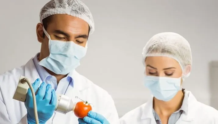 csm foto tomaat dc7bf98eba 715x408