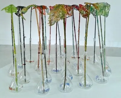 cultuurinwageningennlwp contentuploads201709bladeren jose v loon 2016 op locatie 09176fe3b4373bceebc522c77266d0fb6a616f10