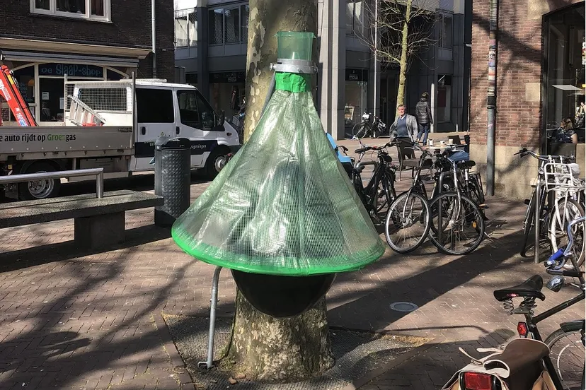 dazenval markt wageningen