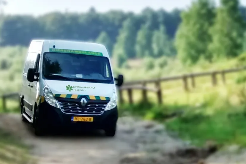 dierenambulance