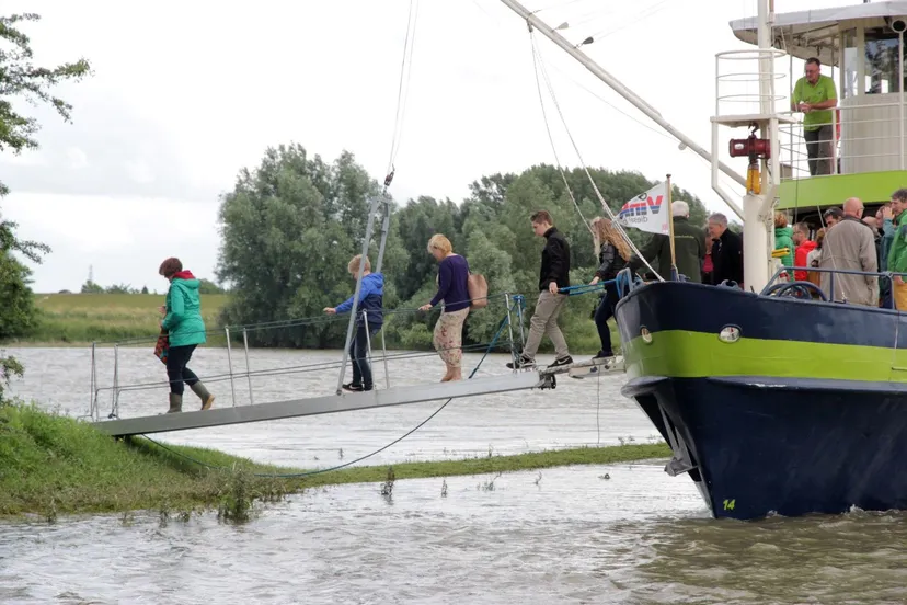 doorwerth blauwe bever1 1