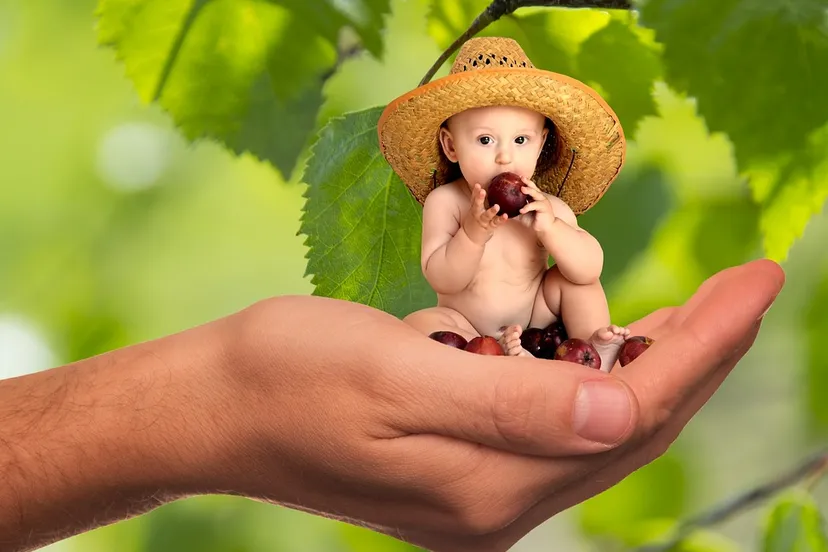 fruit kindje alexas fotos pixabay