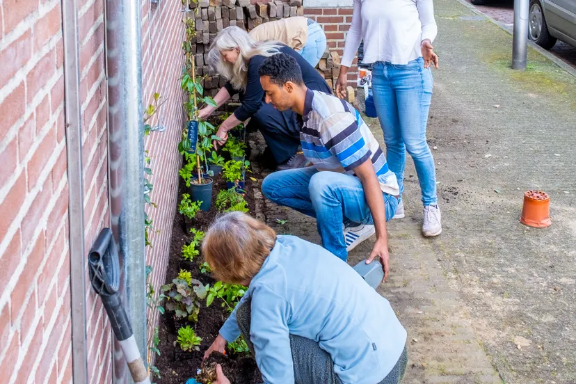 geveltuinendoedag2023 2