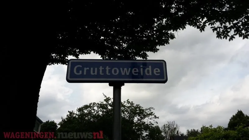 gruttoweide 2 e1497023794559