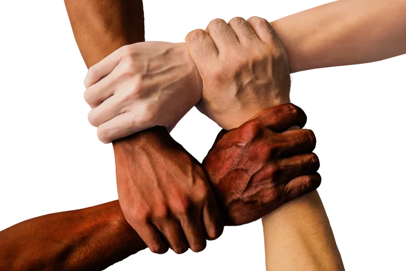 handen truthseeker08 cc0 pixabay