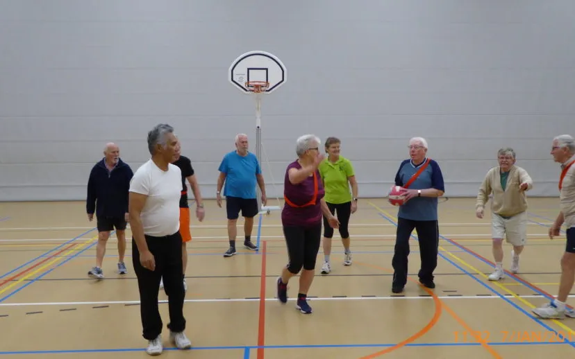 hibhoppers p1010624a 915x518