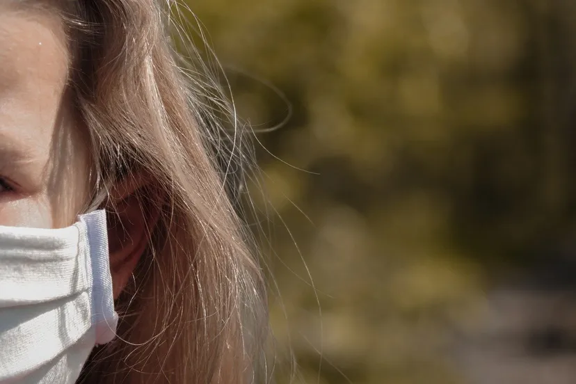 pedro wroclaw via pixabay