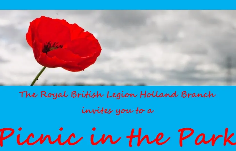 picknick in the park top