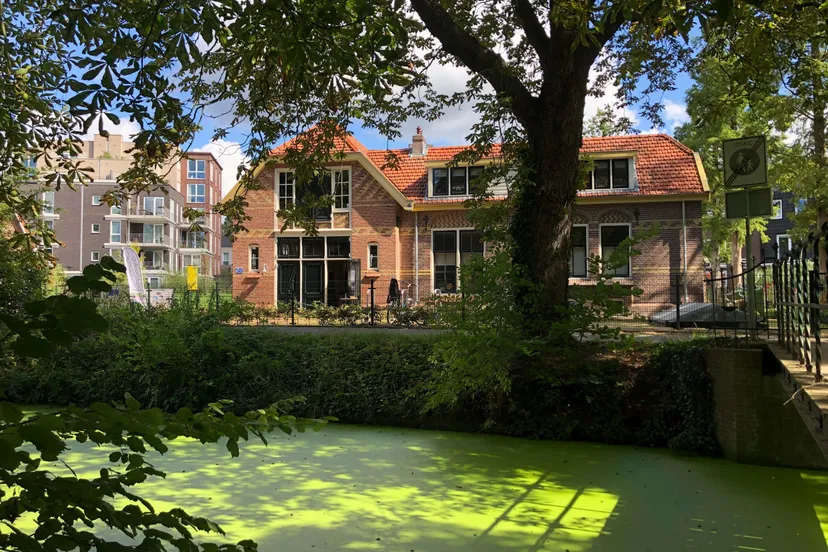 stadsboerderij scaled 1