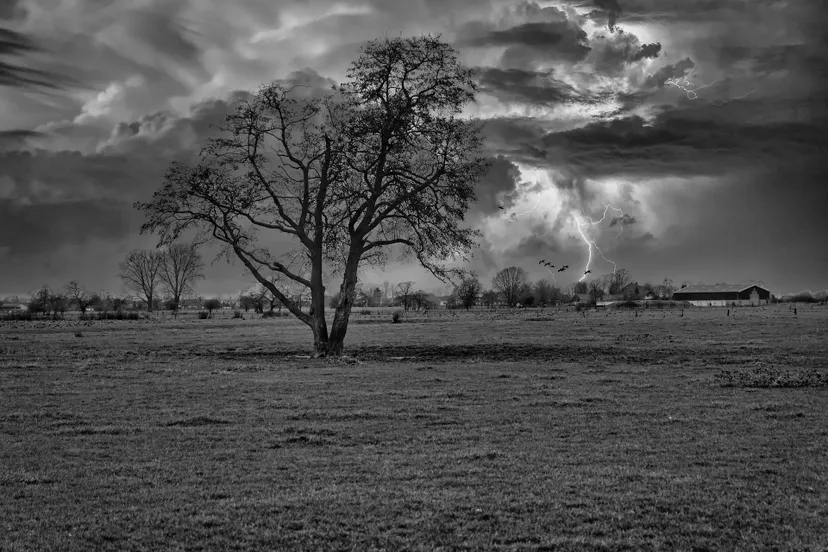 storm sinawa cc0 pixabay