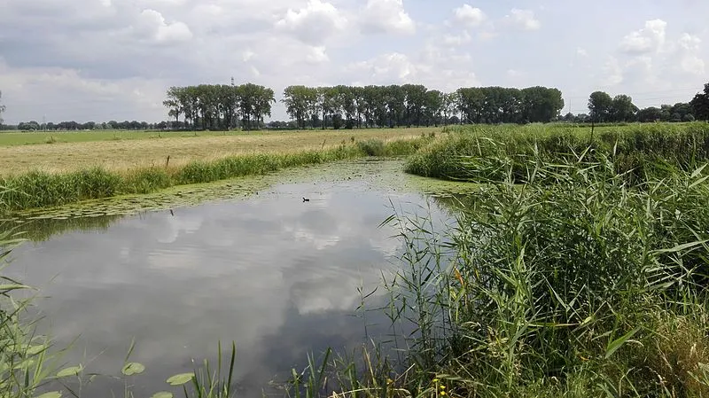 valleikanaal near wageningen arjanh wikimedia
