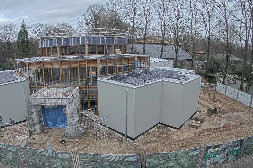 voortgang bouw koalia 1