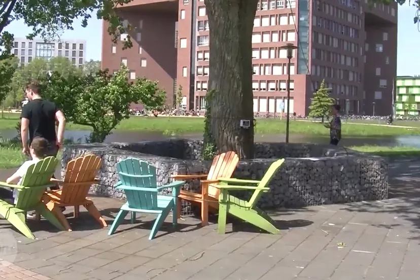 wageningse boom youtube