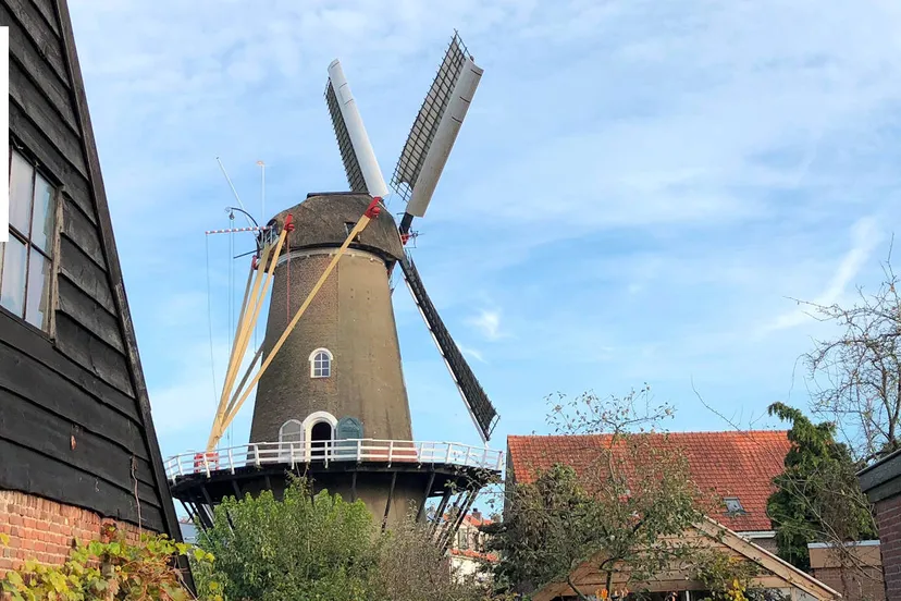 windkorenmolen de vlijt