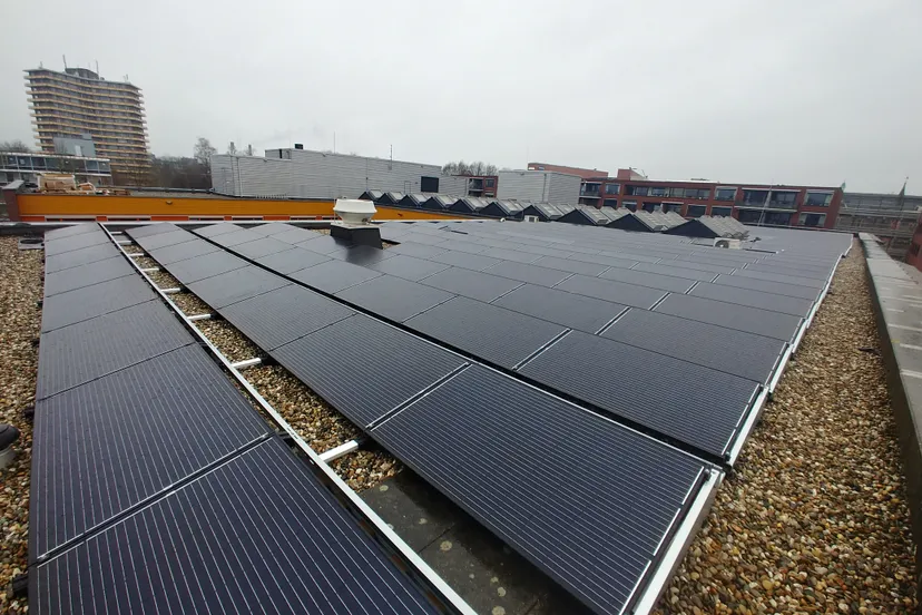 zonnepanalen op dag vilente pieter pauw 2