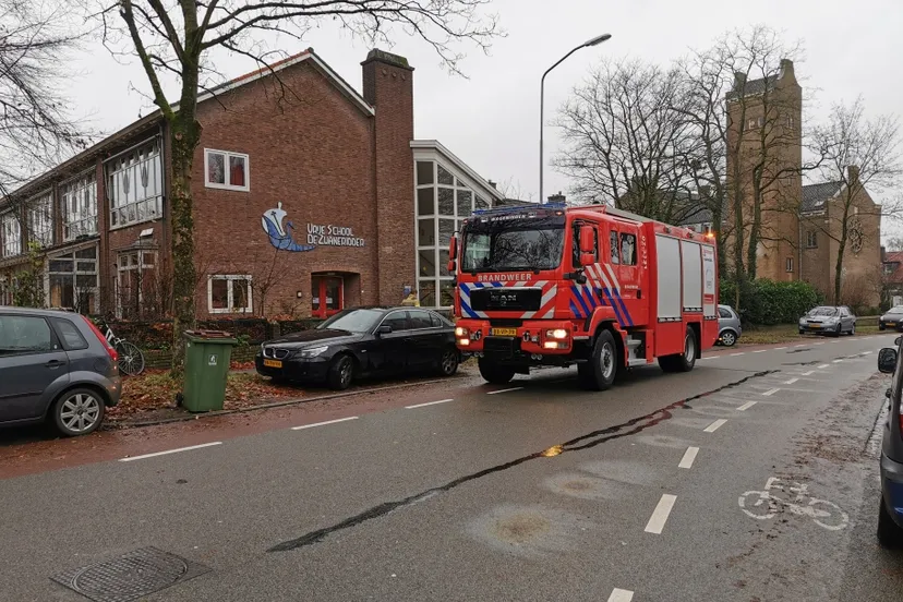 zwanenridder 20191213 012042976