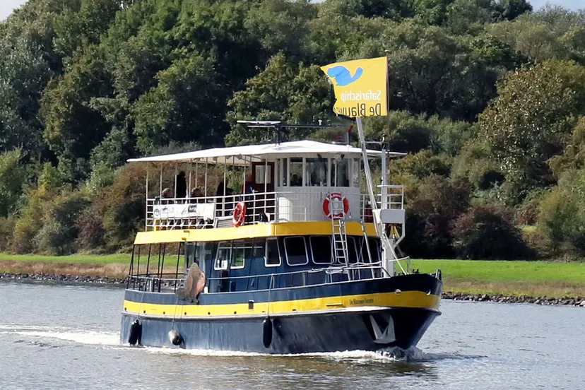 blauwe bever onderweg naar de betuwe