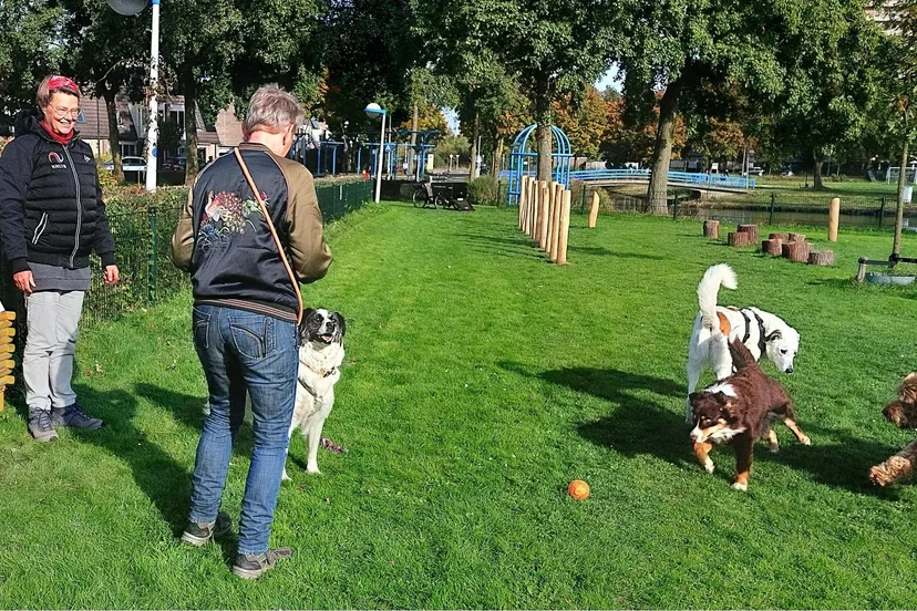 hondenspeelplaats met minibiebgemeentewageningen
