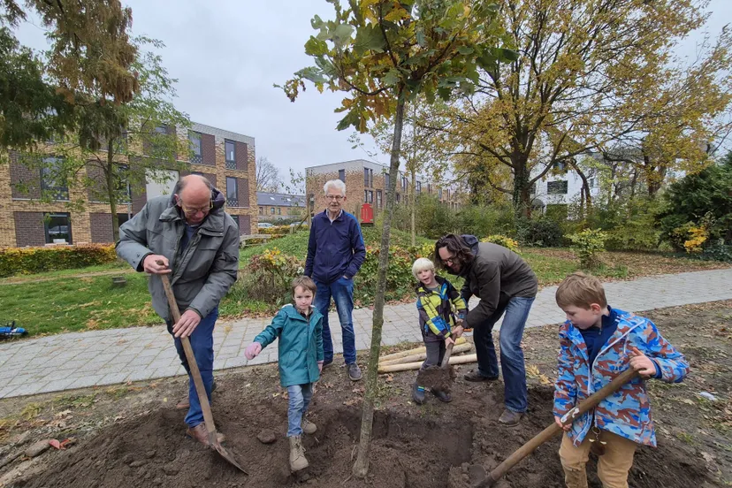 bomenplant churchillweg 1