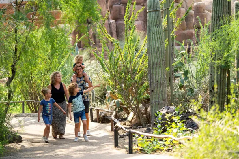 burgers desert 66fbd5781f5f7