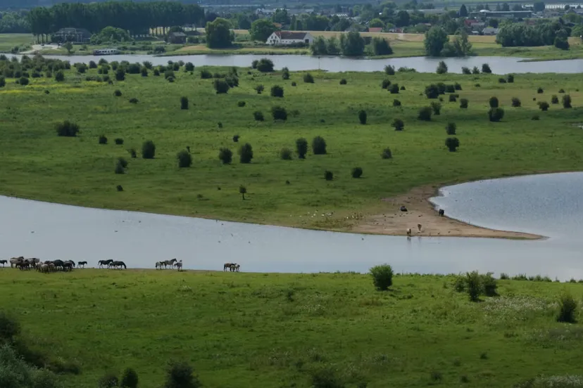 natuurwandeling blauwe kamer utrechts landschap