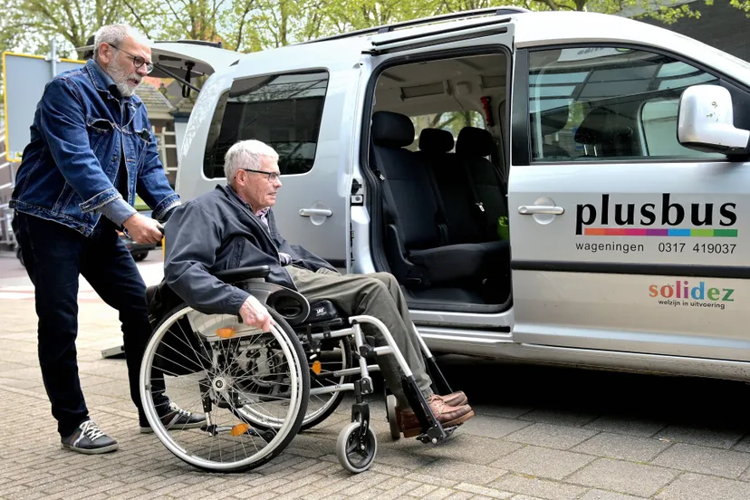 plusbus solidez