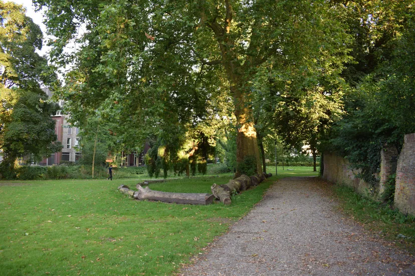 wageningen centrum klein 23