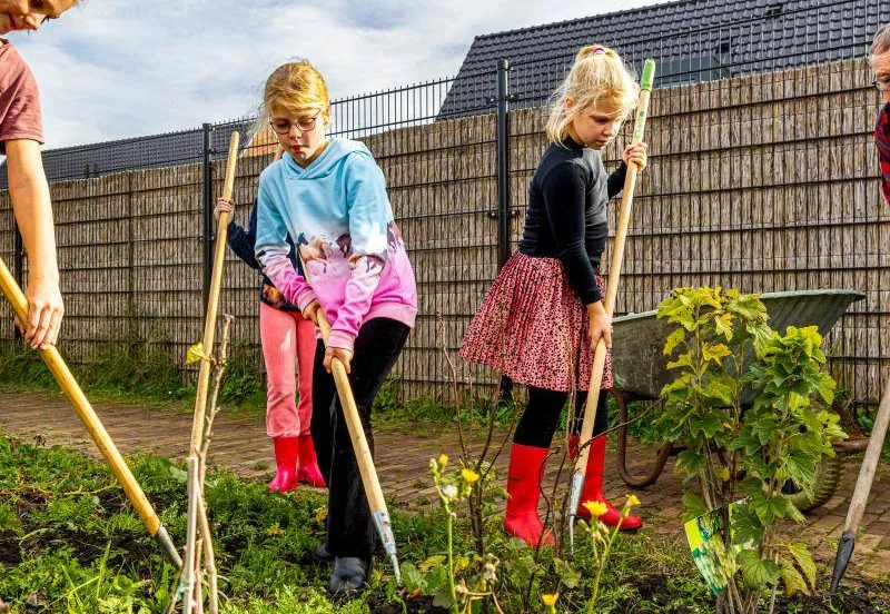 fotos 2024 dorpshuis ried nldoet 33