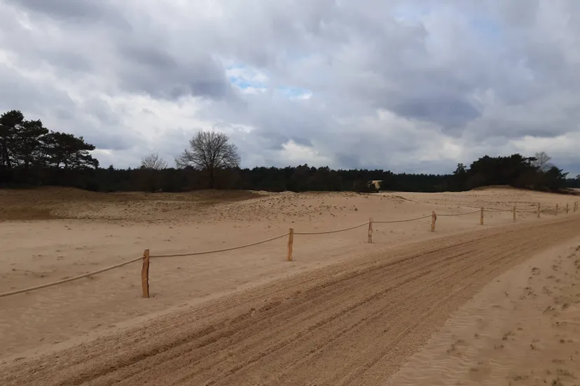 palen met touw kootwijkerzand c staatsbosbeheerjpg
