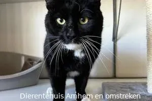 kruimel 0579 6823239c9d8c7jpg