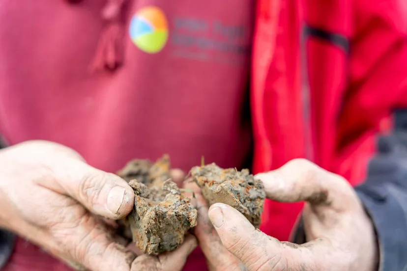 hvhlwuronderzoeker bekijkt bodemmonster