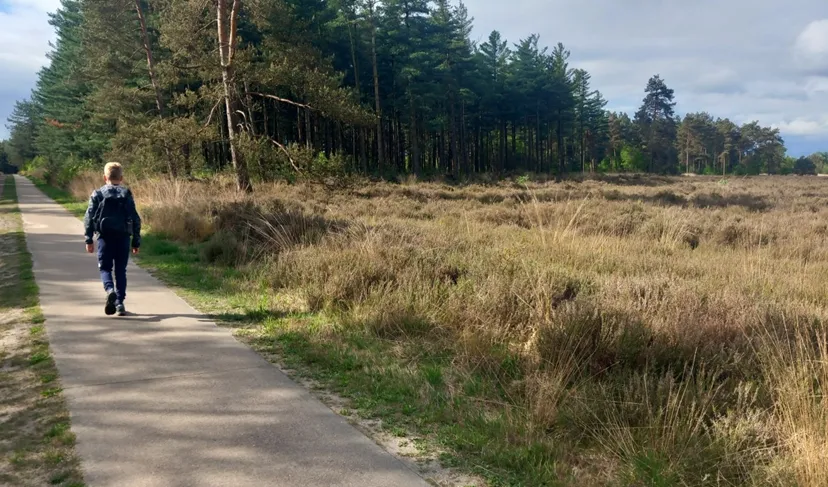 noud make a wish 4daagse