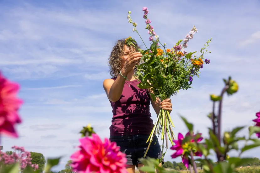 Beeldcredits Wilderful by Dear Sophie2