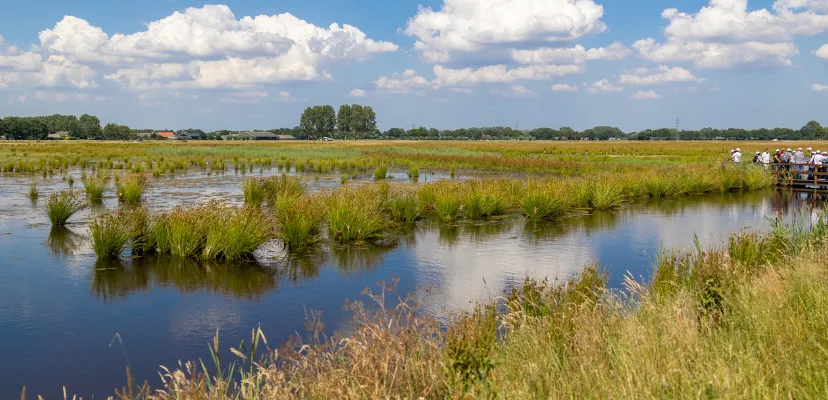 ‘Het Binnenveld'_losse afbeelding.rendition.1280.2048