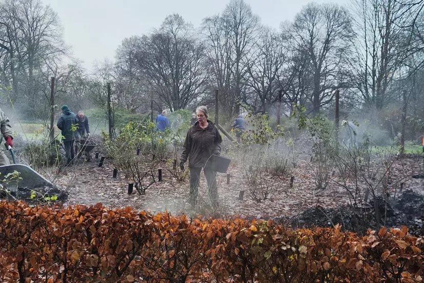 bladverwerking december 2023