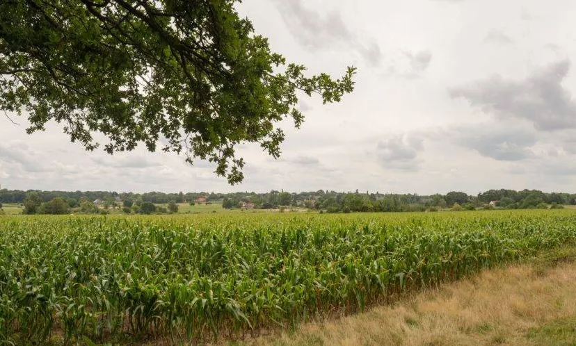 De-Eng-vacature-TAWE-1-1536x498