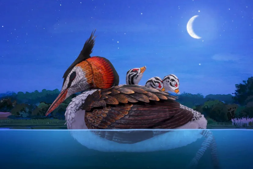 Hallo-Wereld-_st_2_jpg_sd-high