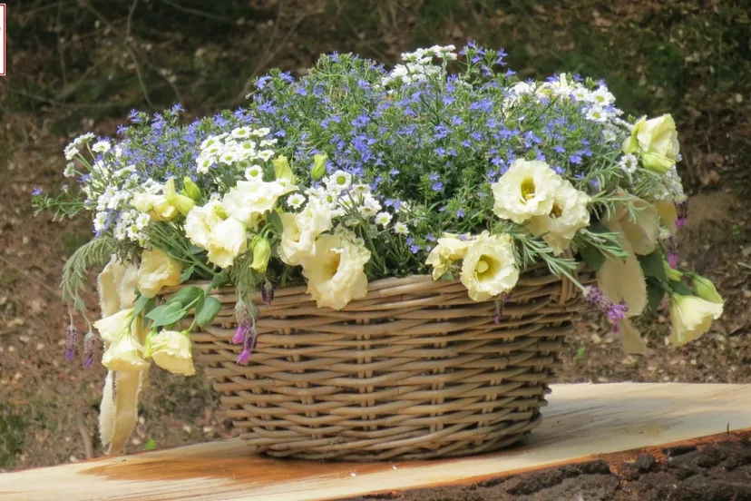 2015-05-30-heiderust-opening-natuurbegraafplaats-005