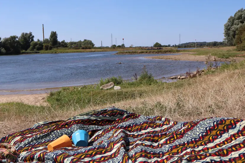 Liefde aan de Rijn_uiterwaarden bij de Wolfswaard