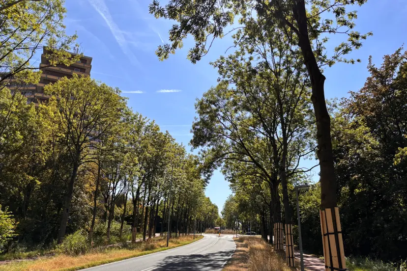 Werkzaamheden Lawickse Allee(1)