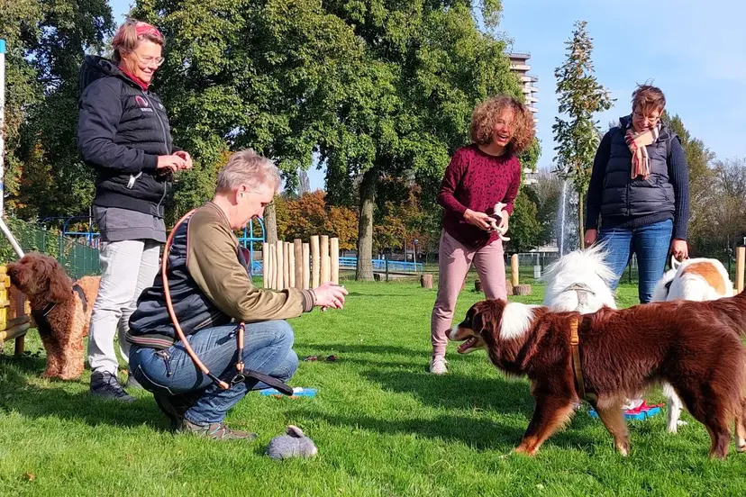Hondenspeelplaats en minibied2_n
