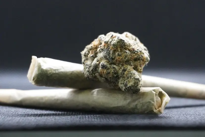 cannabis