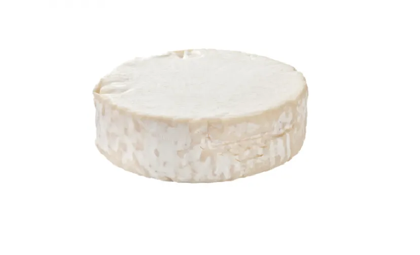 0 990939 plus chevre buche geitenkaas met korst