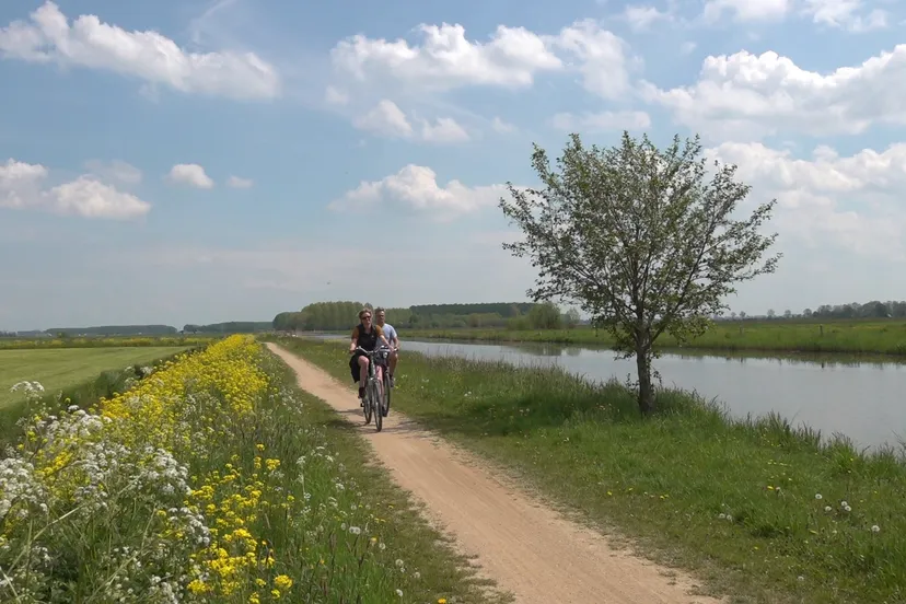 201511980 358472272563769 328183051457502805 n