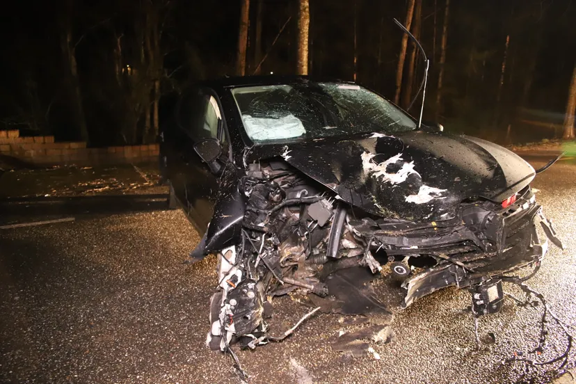 20210219000617 img 9878