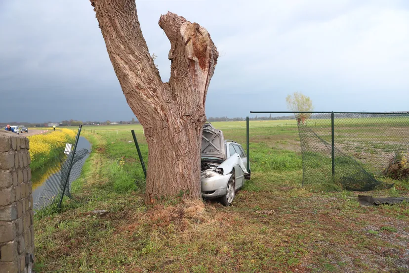 20210429173451 img 2482 copy 3120x2076