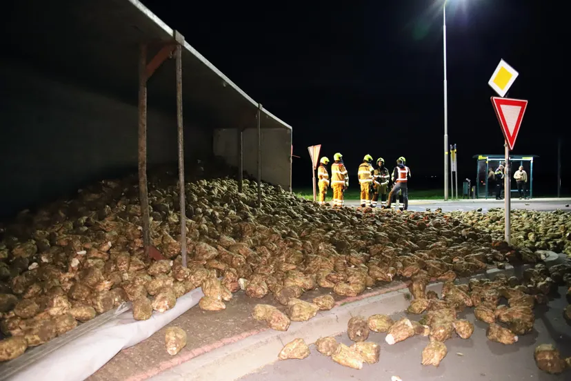 20231004233536 img 22722